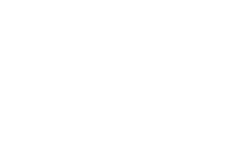 Sevorse Logo
